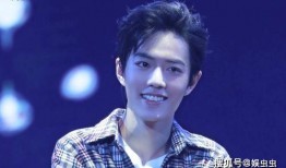 娱乐圈吃瓜博君一肖,娱乐圈的甜蜜瓜田，揭秘这对明星的幕后故事